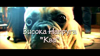 #високанапруга  "Ква" офіціне відео #кваква #генератор