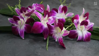 Beautiful Amazing  Orchid word.