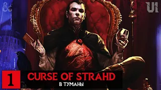CURSE OF STRAHD ➤ Сессия 1 ─ В Туманы | Dungeons & Dragons - Проклятье Страда
