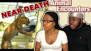 ANIMAL ATTACKS - Near Death Animal Encounters 2 | REACTION VIDEO