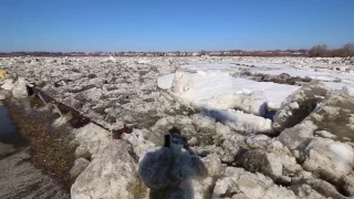 Maumee River Ice Flow 2015