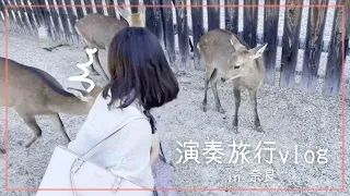 鹿とお友達になれた気がする！演奏旅行in奈良