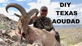 Aoudad Hunting in West Texas - American Safari 3.0 - Ep. 4