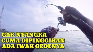 Benar-benar Gak Nyangka Menit 04:45 Tiba-tiba Disambar Iwak Gedenya