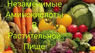 Незаменимые аминокислоты в растительном белке