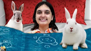 PIHU KE RABBITS | Types of Pet lover | Bunny House and its care | Aayu and Pihu Show