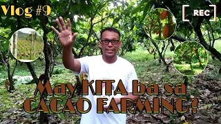 VLOG #9: May Kita ba sa CACAO FARMING?? | SeaMansasaka