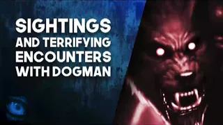 10 TERRIFYING AND SCARY DOGMAN ENCOUNTERS AND DOGMAN SIGHTINGS - What Lurks Above