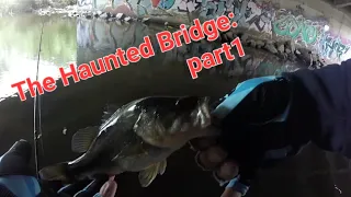 San Diego River bfs fishing! The Haunted Bridge: part 1