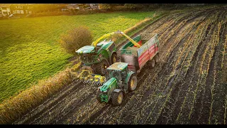 John Deere 9800i chopping maize (4K)