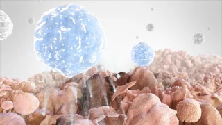 Т-клетки и PD-L1 в онкологии