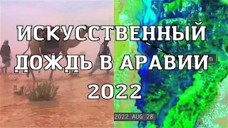 Искусственный дождь в Саудовской Аравии затопил пустыню провал ценою в миллиарды