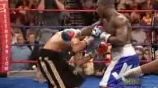 Berto knocks out Estrada