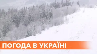 Лавины в горах и желтый уровень опасности - погода в Украине