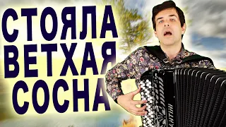 🎵 Мурашки по Коже от Голоса! Стояла ветхая сосна