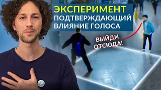 Как влиять на окружающих с помощью голоса.