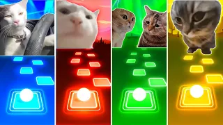 Driving Cat vs Vibing Cat vs Talking Cats vs Chipi Chipi Chapa Chapa Cat - Tiles Hop EDM Rush