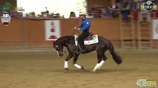 World reining team & individuals event ,  World champion Nico Sicuro & Colonels score 🇮🇹 228.5 🇮🇹