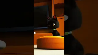 Жил был кот🐱 Грустный💖 момент 💔🥺 Хозяйка 😭предала Рудольфа 🕊️ и купила😓 нового кота🤧