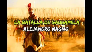 BATALLA DE GAUGAMELA 331 A.C (BATTLE CINEMATIC ALEXANDER)