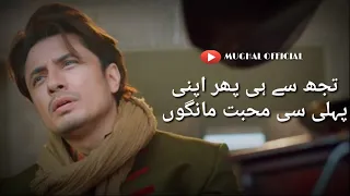 Pehli Si Mohabbat OST Lyrics Song | Ali Zafar | ARY Digital | Mughal Official