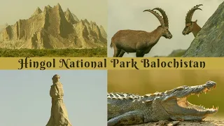 Wildlife and Wonders of Hingol National Park Balochistan | Pakistan Geographic