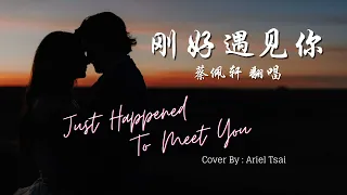 蔡佩轩 - 刚好遇见你 (Ariel Tsai - Just Happened to Meet You) (歌词 Lyrics / 英文翻译 English translation)