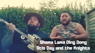 Shama Lama Ding Dong (TJ & Huri Cover)