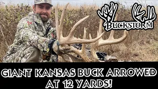 GIANT KANSAS BUCK ARROWED at 12 YARDS | BUCKSTORM KANSAS | #KANSASHUNT