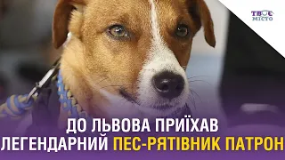 До Львова приїхав легендарний пес-рятівник Патрон. Відео
