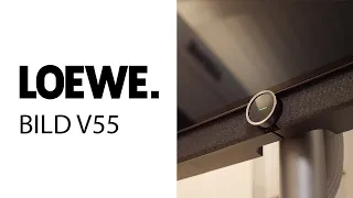 LOEWE Bild V 55 DR+  | UHD | OLED | Produktvorstellung