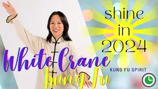 Best Intro to White Crane Kung Fu—Kung Fu Spirit | Shine in 2024! 👊☯️