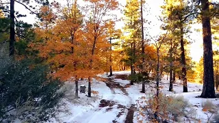 Very rare fall colors and snow at Jackson Lake in the San Gabriel Mountains