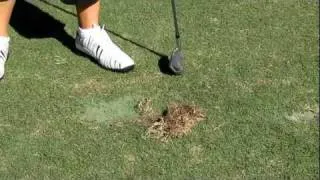 Florida Divot repair tips