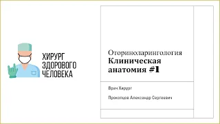 Лор#2. Анатомия носа #1.