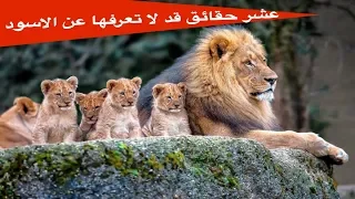 عشر حقائق قد لا تعرفها عن الاسود