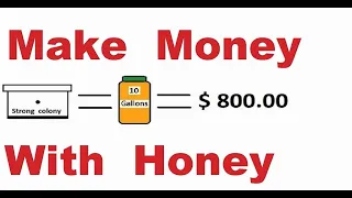 How Much Money You Can Make With Bees, Natural Raw Honey Production