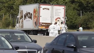 В Австрии нашли грузовик с телами мигрантов (новости)