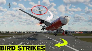 Bird Strike During Plane Take Off Caught On Camera X Plane 12 At Mumbai Airport