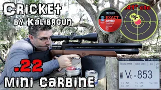 Kalibrgun Cricket .22 Air Rifle (Review) + Accuracy TEST - 50 & 100 Yards - Mini Carbine PCP