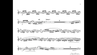 Brandt, Willi - The concert piece No.2 - S. Nakaryakov  - trumpet Bb