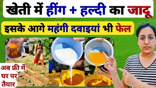 महंगे फंगीसाइड और कीटनाशक से कई गुना ताकतवर | Organic Fertilizer | Fungicide Insecticide | kheti