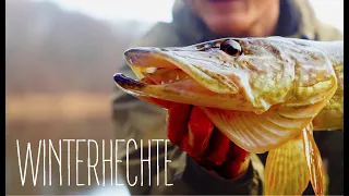 WINTERHECHTE || Viele Köder führen zum Hecht || TRAVEL AND FISH Ep. #1