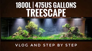 1.800L | 475US gal | Treescape | VLOG and Step by step