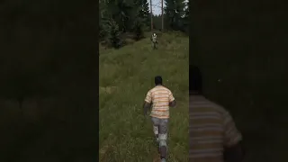 The Average Dayz Interaction