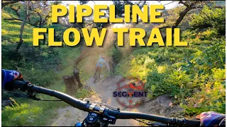 Pipeline Flow Trail in Monterey California