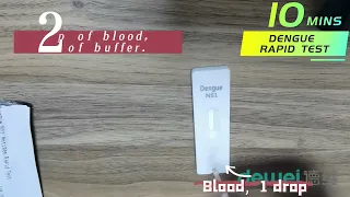 CE Dengue Antigen DEN NS1 Rapid Test Kit Cassette For Whole Blood Serum Plasma