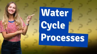 What are the 4 main processes of the water cycle?