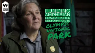 Raise the Paddle for Amphibian eDNA & Fishers in Olympic National Park