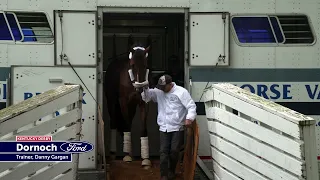 Dornoch Arrives for the 150th Kentucky Derby